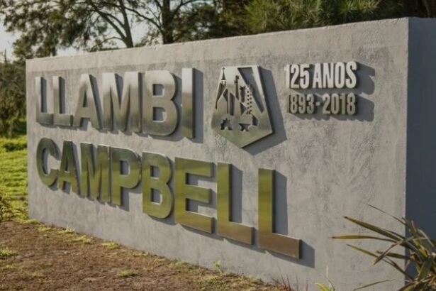 llambi campbell