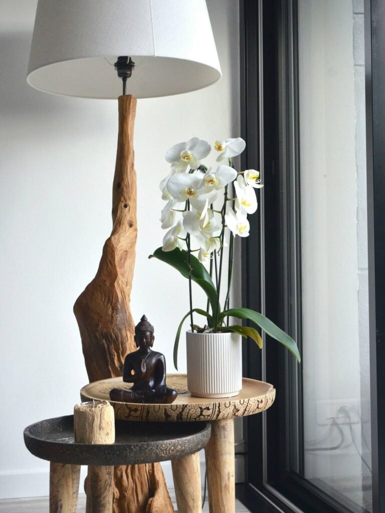 orquideas 4