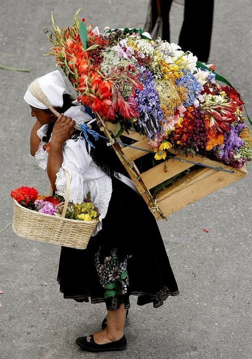 Feria de las Flores de Medellín: la tradición que convirtió a los silleteros en símbolo de Colombia 62 silleteros
