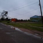 viento la gallareta