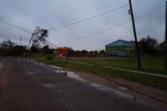 viento la gallareta