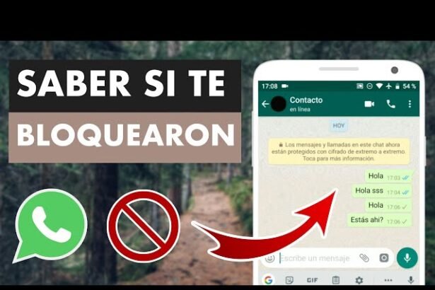 wsp bloqueo