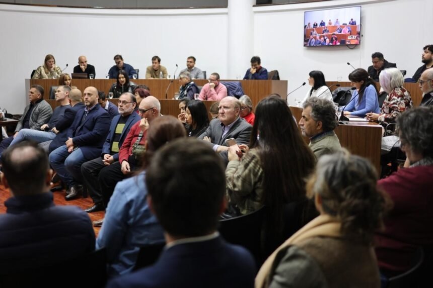 autonomia sf culturales
