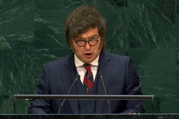 milei en la onu