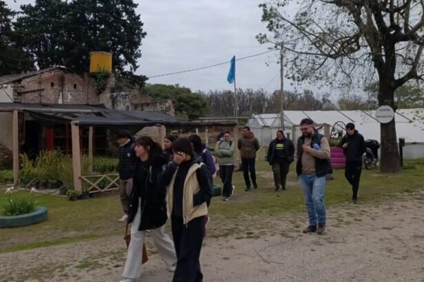 muni cialp 1