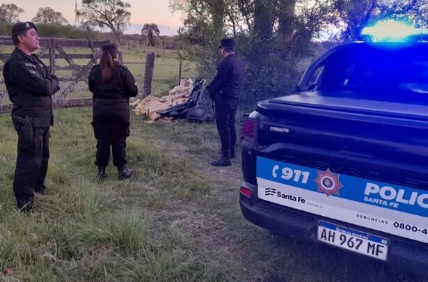 santa fe droga campo