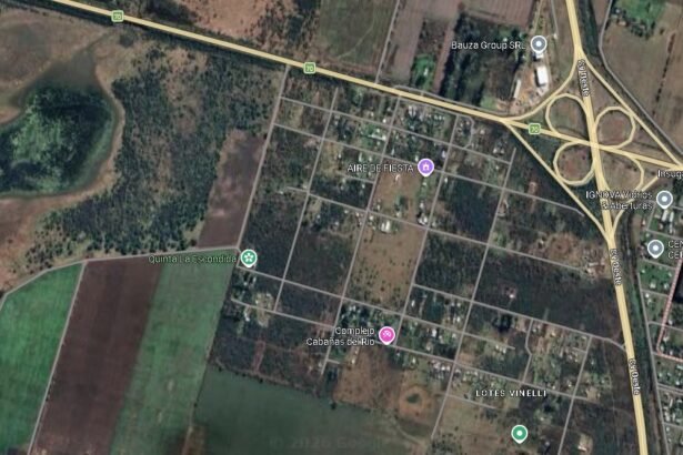 vinelli mapa