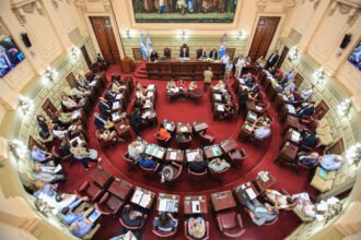 Camara Diputados SF