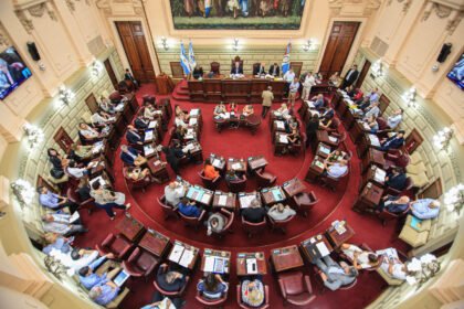 Camara Diputados SF
