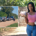 Collage de mujer y autos rurales