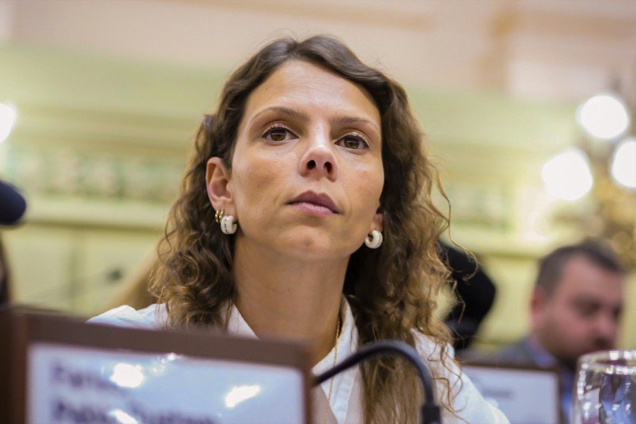Santa Fe: alertan que las familias recurren a créditos de billeteras virtuales para comprar alimentos 60 Dip Gisele Mahmud