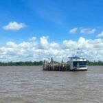 animales inundacion