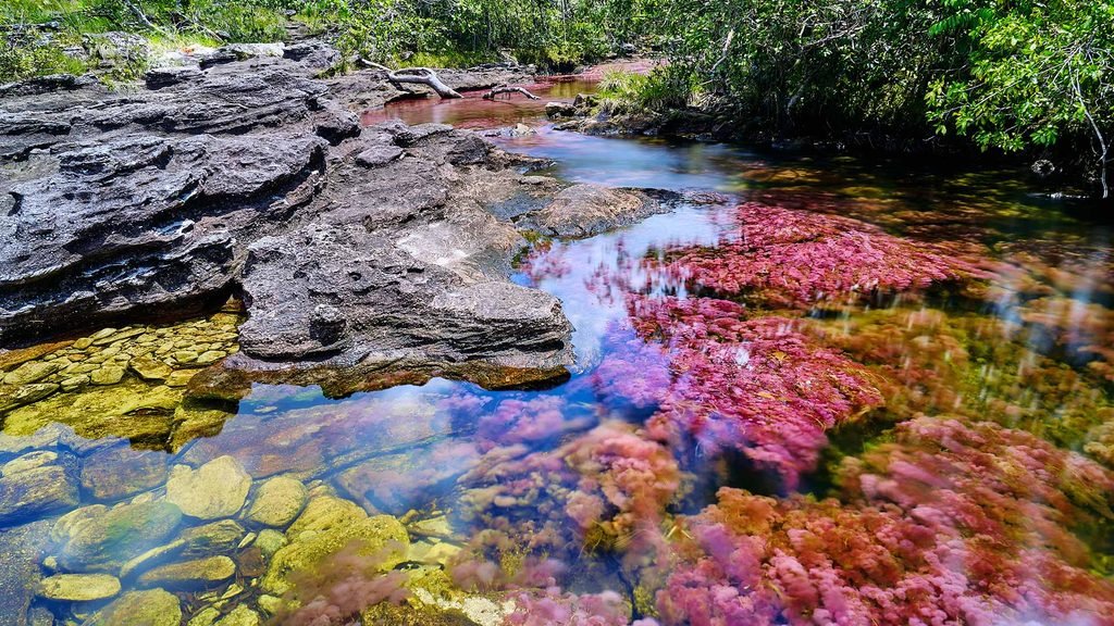 5 lugares del mundo que parecen sacados de una película de ciencia ficción 65 cano cristales header