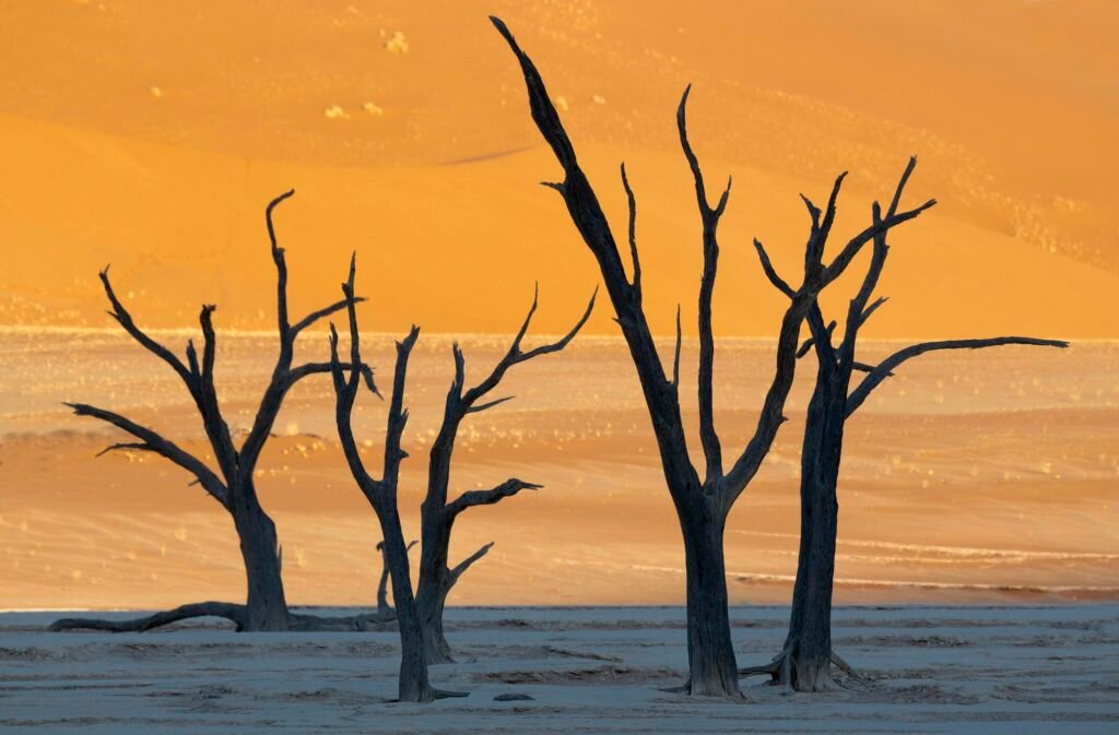 5 lugares del mundo que parecen sacados de una película de ciencia ficción 66 deadvlei 2 1024x673 1