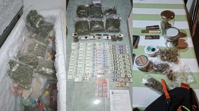 Dos detenidos y un importante secuestro de cannabis tras allanamientos en Malabrigo 58 decomiso canavis