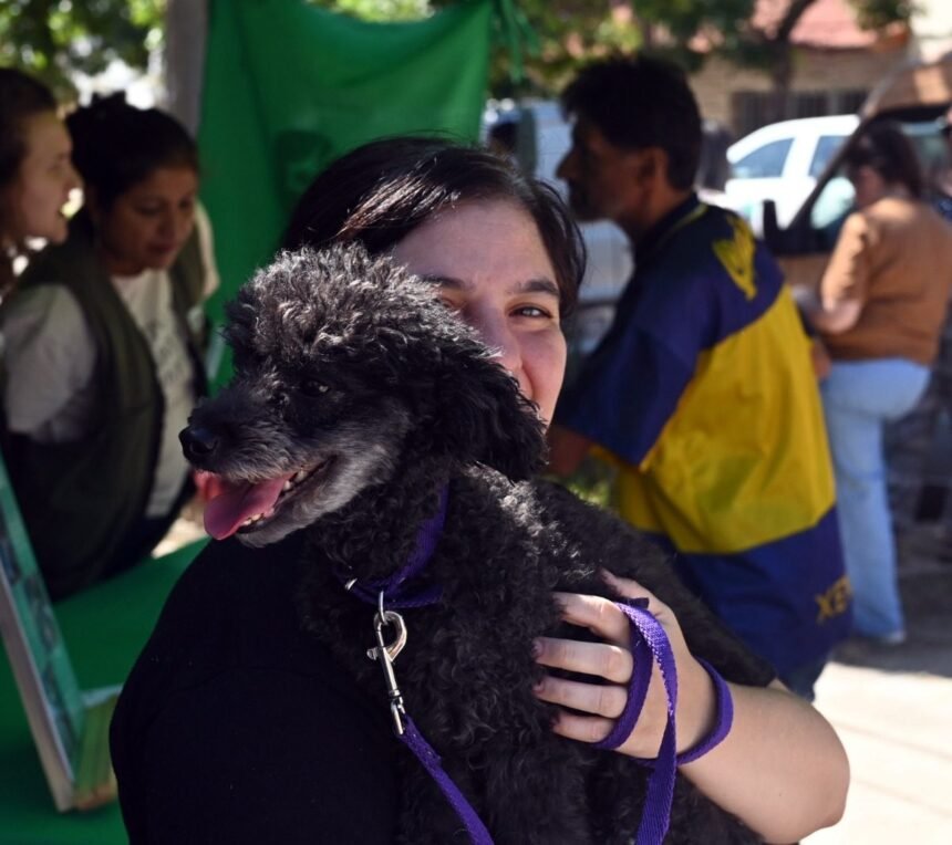 Imusa continúa con la campaña de sanidad animal en el Distrito Noroeste de Santa Fe 57 imusa noroeste