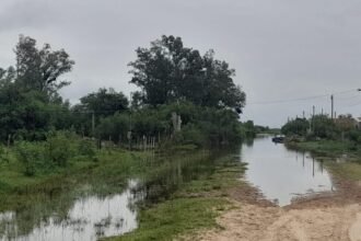 leyes animales inundacion