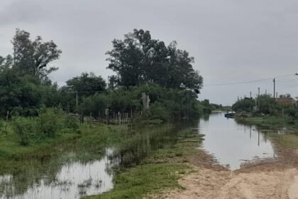 leyes animales inundacion