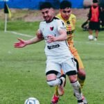mitre colon