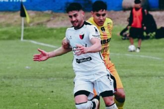 mitre colon